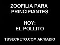Zoofilia Para Principiantes - El Pollito