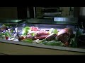 Restaurant  Le Lanterne  -  Rome