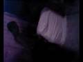 videos de LANUSEI CEA 2008!!!!! IL PROFITEROL!!!!