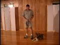 Dog Training - Walking (www.AmazingDogTrainingMan.com)