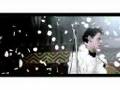lovebug jonas brothers.mpg