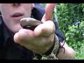 Britain in Cold Blood - Slow Worm take 2