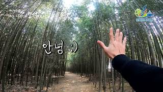 익산시민영상기록챌린지! 구룡마을 대나무숲 가는 길!(나익보 서광희님)