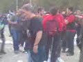 Nafarroa Oinez 2008.Iruña.¿nunca antes habían visto un perro?? Nafarroa Oinez 2008.Iruña.¿nunca antes habían visto un perro??