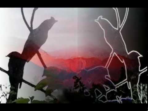 thumri bhairavi - bhairavi thumri - by Kishori Amonkar (1967) tabla: narayanrao indorkar sarangi: masit khan.