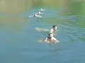 Nacktbaden2