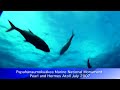 For The Sea - Pearl and Hermes Atoll - Papah?naumoku?kea