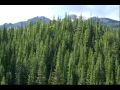 Aspen for Non Skiiers - A video tour of Aspen in ...