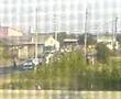 Bataie de tigani...(BUC) partea 1