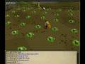 random runescape glitch