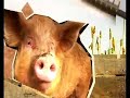 Leader Puur Smaak Mathijs Vrieze RTL4 Leader Puur Smaak Mathijs Vrieze RTL4