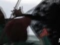 Unidentified Catch | Mermaids - YouTube