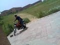 qingqi stunts