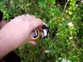 08.25.07 - Geocache #100