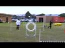 Leo Excellent Jumping Morwell