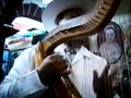 Mexican harpplayer playing Pajaro Campana in bar Tenampa