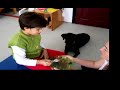 kopek destekli fizyoterapi turkiye\