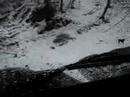 Aventuras na neve - PARTE 1 Aventuras na neve - PARTE 1
