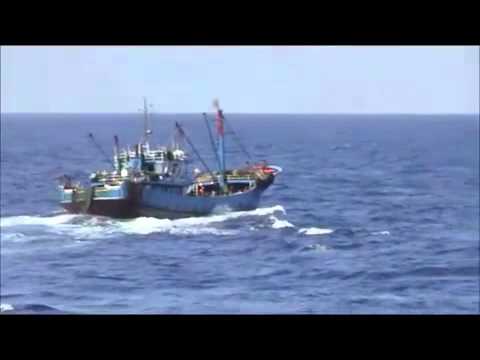 Chinese, Japan Ship Collision Video Now Up 0 Chinese, Japan Ship Collision Video Now Up