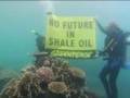 Saving the Reef from a toxic mine