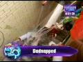 videos de 2009 DCOM Previews