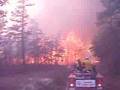Pine Barrens brush fire crowning