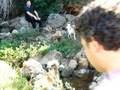 videos de VRSA PR2-Cacela - Quintas de Cacela - II