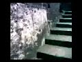 Kangra Fort (HP, India) video-2