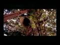 Church Heathen Dub Plate Video