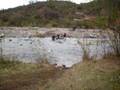 Alzabe el profe de natacion
