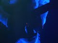 Manou De Jean & Andy Bach live @ Stereo De Luxe Vol.2