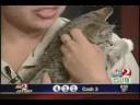 fox-35-adoptathon-2007.html