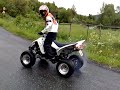 Raptor 350R 1