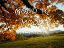 1998 INNER SHADE Mood To Mood 1998 INNER SHADE Mood To Mood