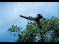 videos de 2008-10-24 Track 04 - Stairs to the Sky