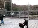 Voetballen de Gencler :D