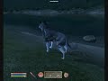 Ninjas Of Cyrodiil