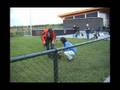 Salchicha video