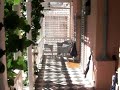 my suite [mount nelson hotel] cape town