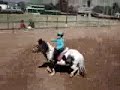 Fjonk rider