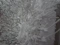 SNOW DAY 2009!!