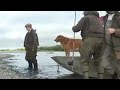 King Salmon on the fly-