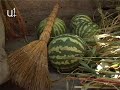 Watch 'Ձմերուկները չեն վաճառվում'