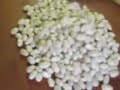 cocos de paimpol - beans of paimpol