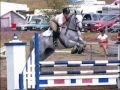 Everything to do with Horses