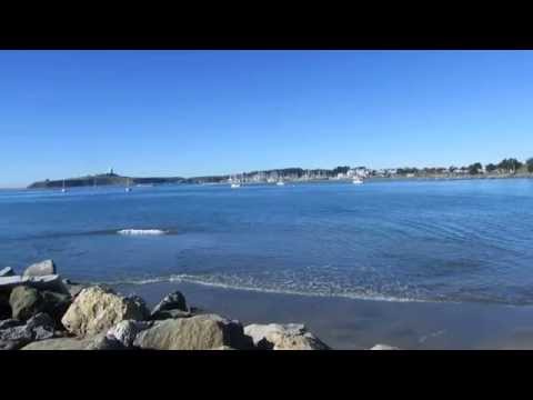 Video for Pillar Point Harbor Beach