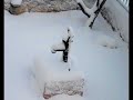 Efrat, Israel - Snow Day 2008 Efrat, Israel - Snow Day 2008