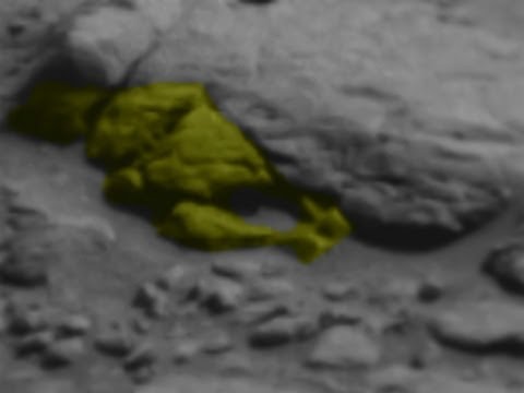 #33 Chicken on Mars, Planet MARS, Anomalies, Fossilised Evidence, NASA, Ro