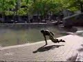 Joe Eigo - I Want My Multi Level Moves
