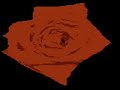 Seal Kiss From A Rose Seal Kiss From A Rose